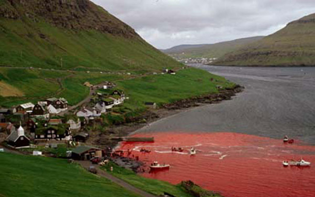 Faroe 03