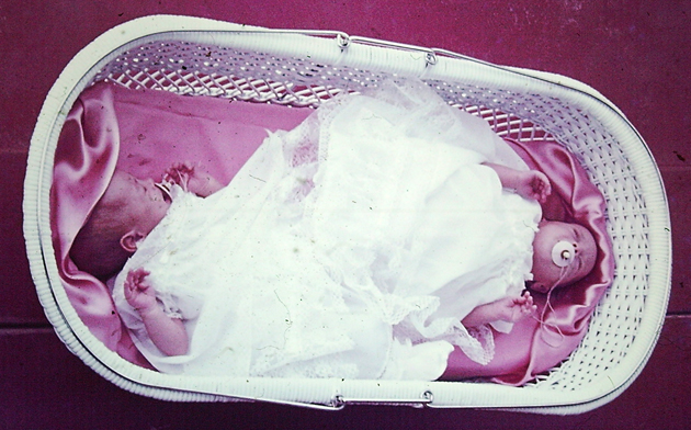 My beautiful picture